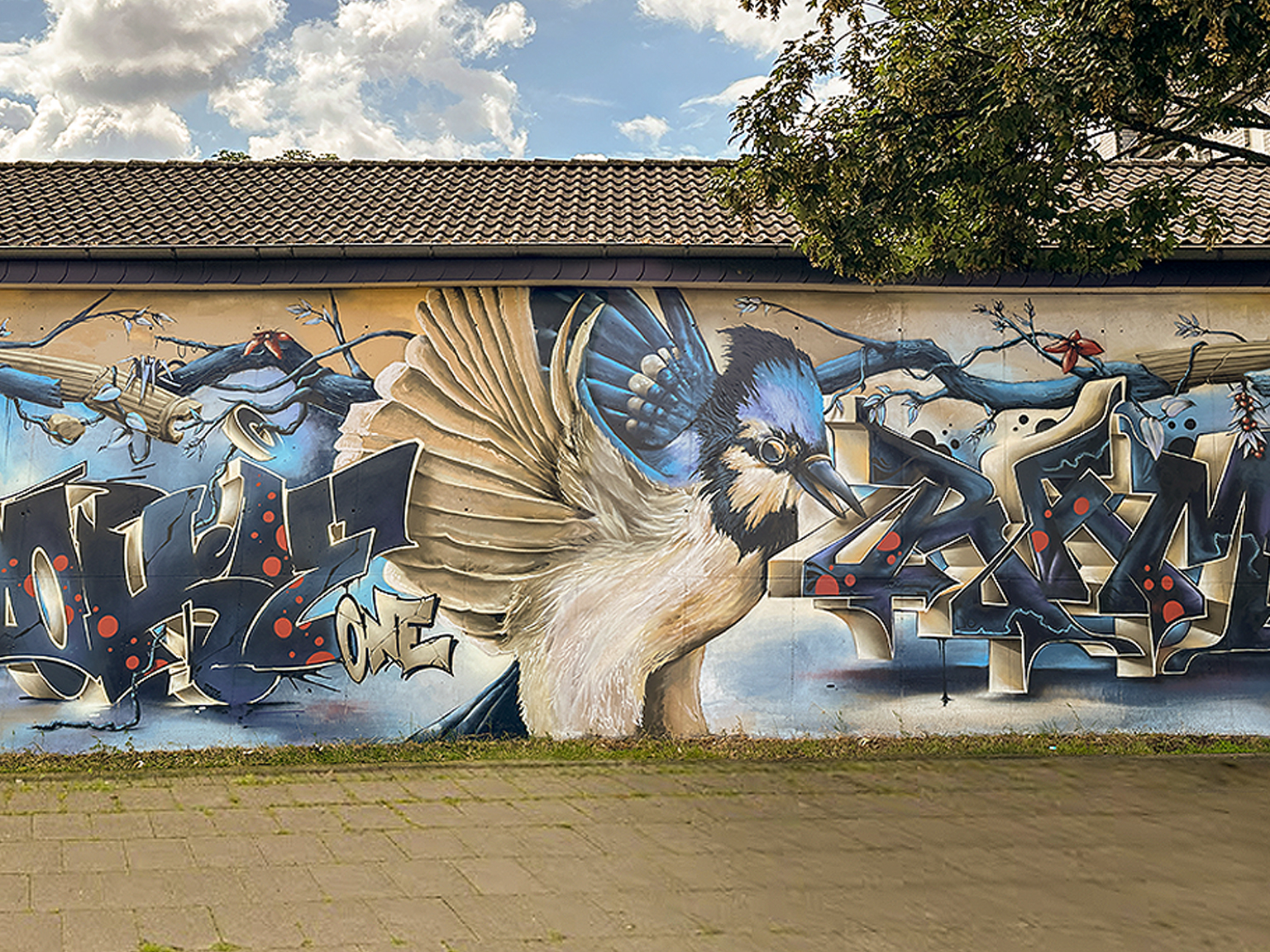 Graffiti Fassadengestaltung in der Albrechtstraße in Bielefeld