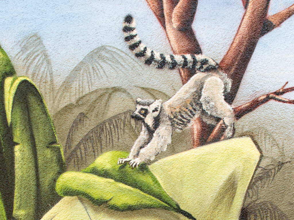 Lemur Graffiti Gütersloh